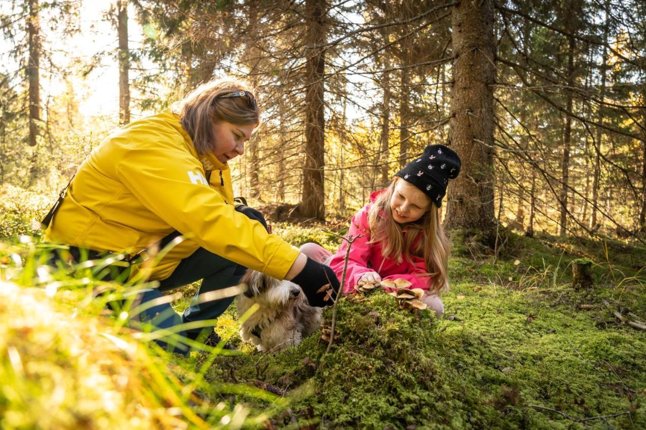 Koli Freetime Ahmovaara