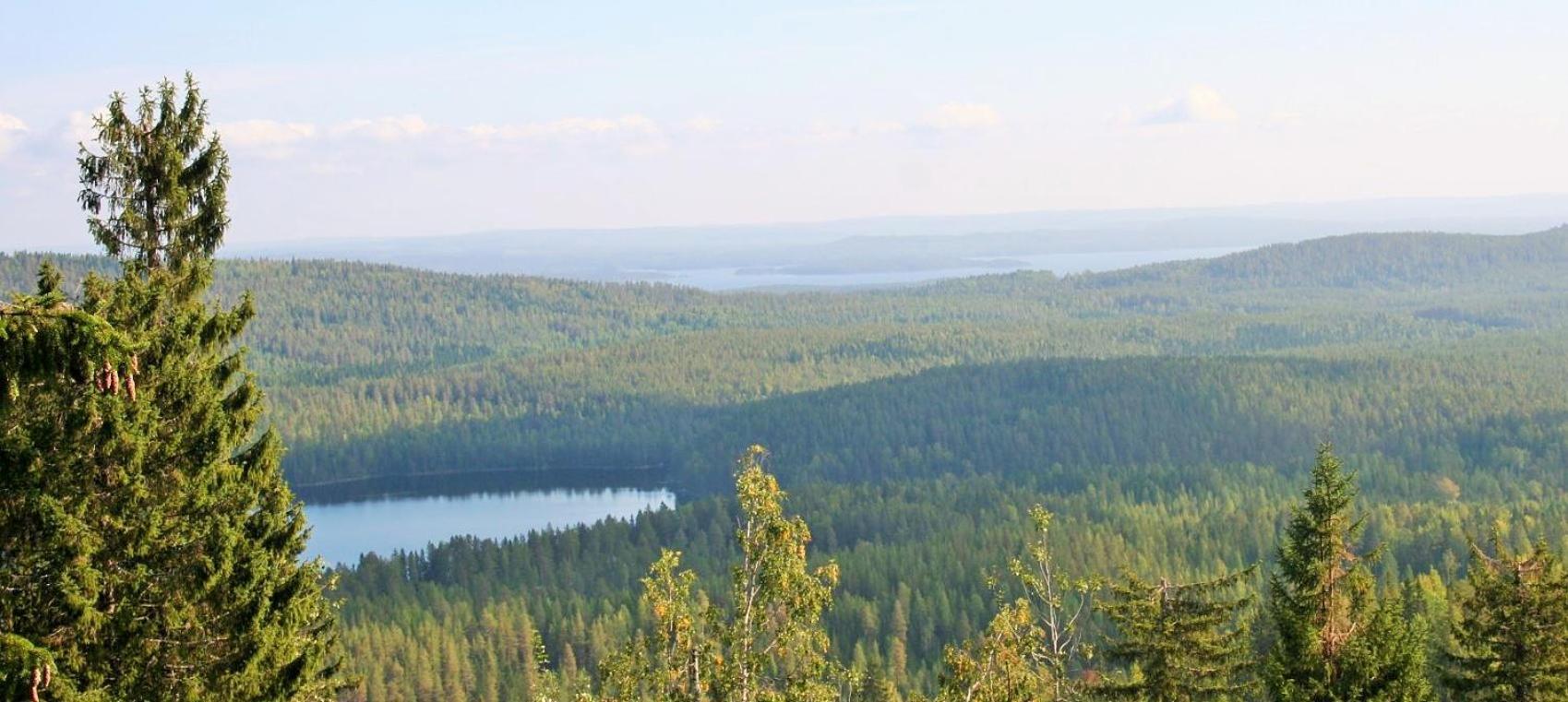 Koli Freetime Guest house